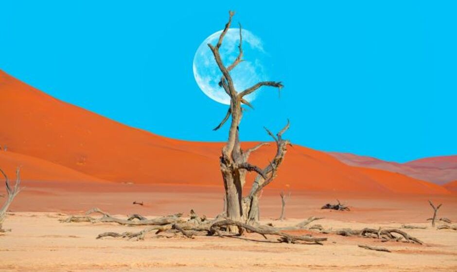 Dead Vlei, Namibia