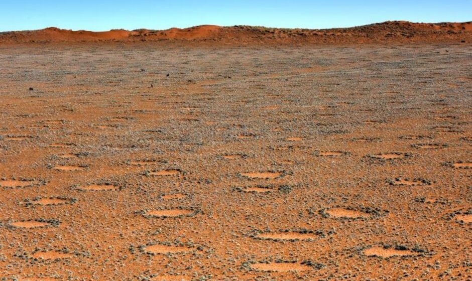 Fairy Circles, Namib Desert, Namibia