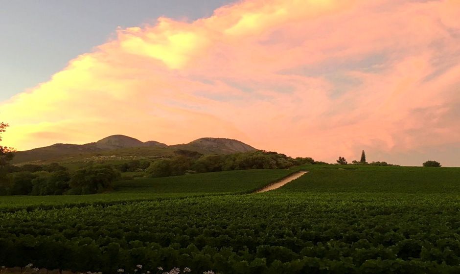 Paarl Valley at Sunset